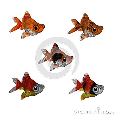 goldfish cartoon image. 3D CARTOON GOLDFISH SET 1