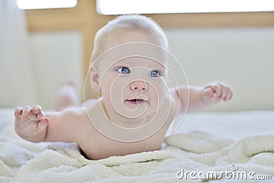 Month Baby Pictures on Stock Image  6 Month Old Baby Boy