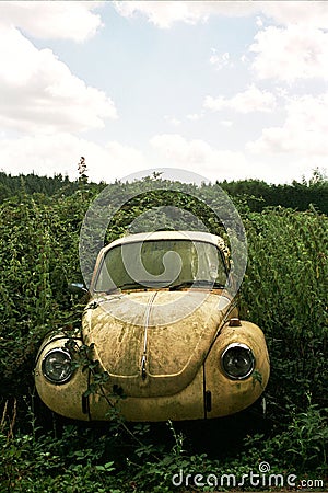 volkswagen beetle car. ABANDONED VW BEETLE CAR (click