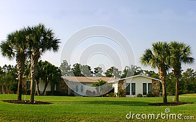 American Dream House on American Dream Home With Palm Trees And Blue Doors   American Dream