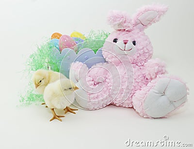 cute easter bunnies and chicks. BABY CHICKS WITH STUFFED