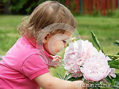 Baby Pictures  Flowers on Free Stock Photo  Baby Girl Smelling Peony Flowers  Image  14887995
