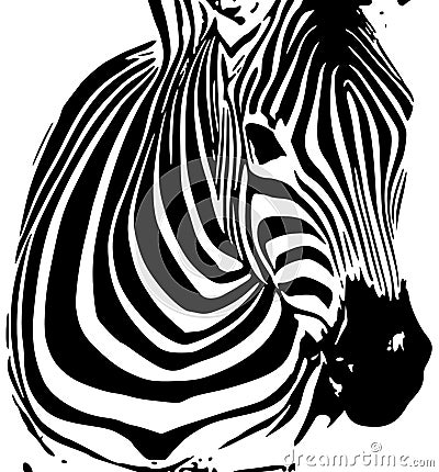 african animals wallpaper. One zebra on the wallpaper