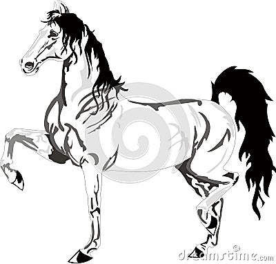 horse drawing pictures. BEAUTIFUL HORSE DRAWING, BLACK