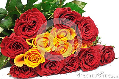 [تصویر:  big-bouquet-roses-thumb7828205.jpg]