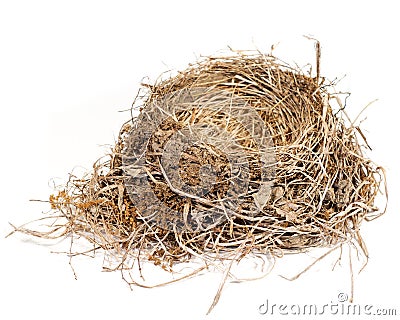 Birds Nest on Bird Nest  Click Image To Zoom