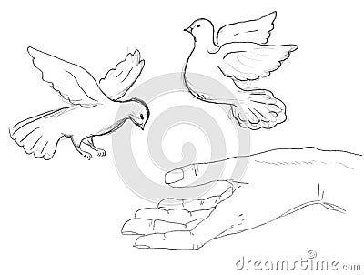 Flying Architecture on Birds Flying Near Human Hand Royalty Free Stock Image   Image