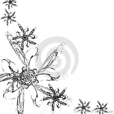 black and white backgrounds flowers. BLACK-AND-WHITE BACKGROUND