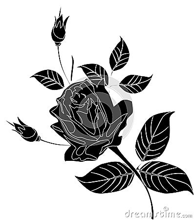 Black And White Rose Outline. rose flower drawing. lack and