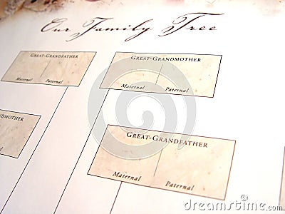 blank family tree images. BLANK FAMILY TREE (click image