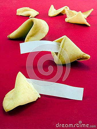 funny fortune cookie sayings. Funny Fortune Cookie Sayings.