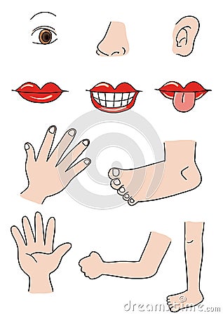 Free Vector  on Sign Up And Download This Body Parts Image For As Low As  0 20 For