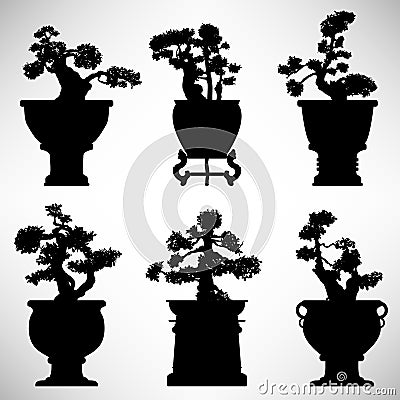 Bonsai  on Bonsai Tree Plant Flower Pot Stock Image   Image  17033231