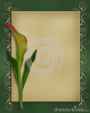 Free Vector Business Card Design on Calla Lily Invitation Card Template Stock Photography   Image  8715092