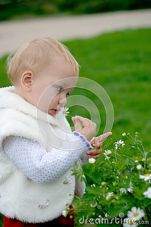 Child Smelling A Camomile