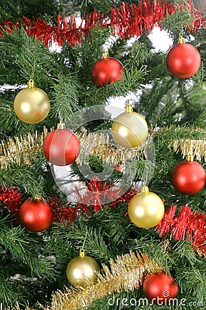 Christmas Tree Background on Stock Photography  Christmas Tree Background Upclose  Image  3692977