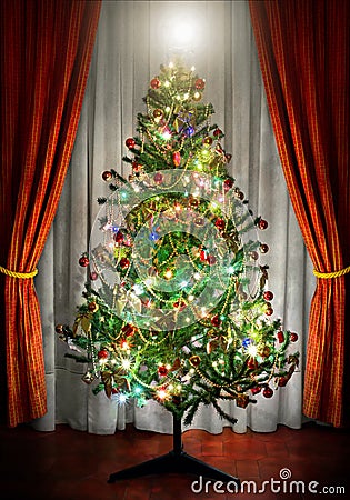 Christmas Tree Stock Images