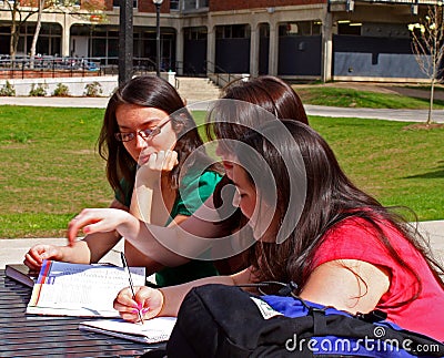 College Girls on College Girls Studying  Click Image To Zoom