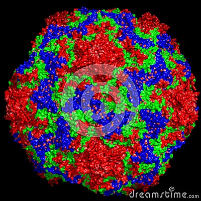 common cold virus structure. COMMON COLD VIRUS (click image