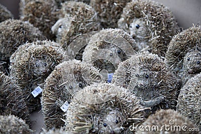 hedgehogs breeders in conroe tx area