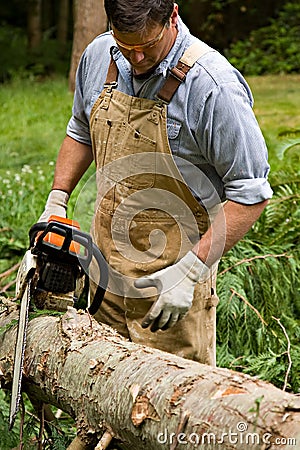 chopping down trees. CUTTING DOWN TREES (click