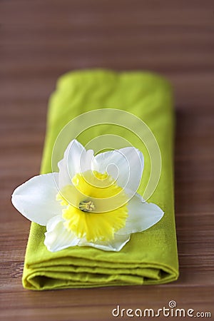 Daffodil Flowers on Daffodil Flower On Green Napkin Royalty Free Stock Photography   Image