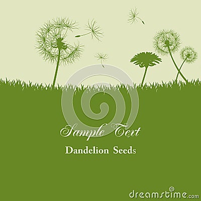 Dandelion Vector Free on Dandelion Seeds Background Stock Photo   Image  18885650