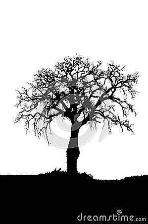 oak tree silhouette clip art. 2010 pine tree silhouette clip art. oak tree silhouette clip art.