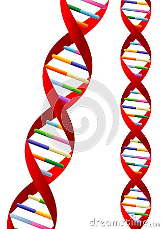  Vector on Dna Helix Representation Isolated Over White Background