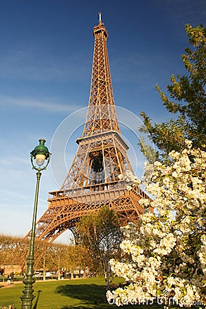 Paris France Eiffel Tower Pictures on Photography  Eiffel Tower In Spring  Paris  France  Image  19089267
