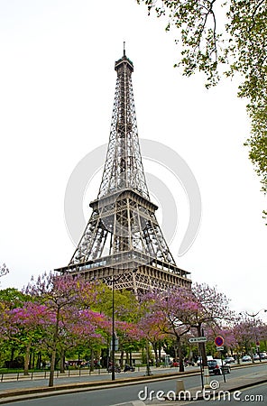 Printable Picture Eiffel Tower on Royalty Free Stock Photos  Eiffel Tower  Image  13541478