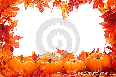 Free Fall Backgrounds on Royalty Free Stock Photos  Fall Background  Image  3359298