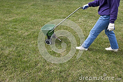 Starter fertilizer for grass