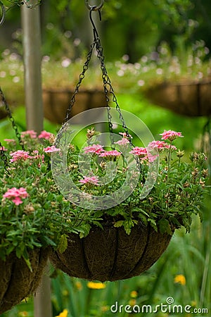 Flower Basket on Flower Basket