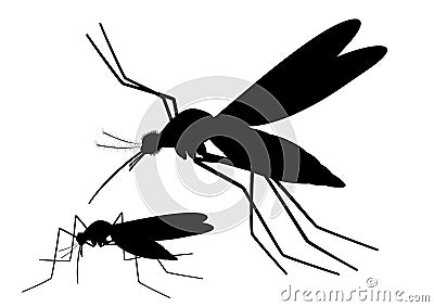 Flying Architecture on Vector Silhouette Of Flying And Sucking Mosquito  Blood Sucking Insect
