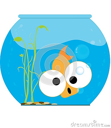 funny fish. FUNNY FISH (click image to
