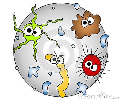 GERMS UNDER THE MICROSCOPE (click image to zoom)
