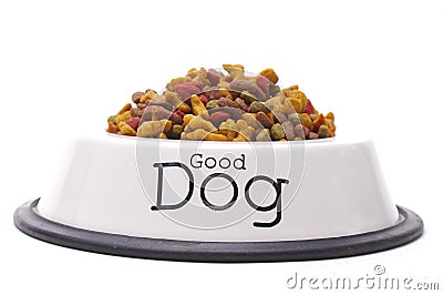 Good  Food on Good Dog Food Stock Photo   Image  2620000