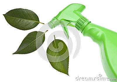 Green Cleaning Stock Photo - Image: 14743740