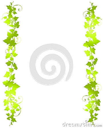 Green Backgrounds on Royalty Free Stock Photos  Green Vine Leaf Background Borders