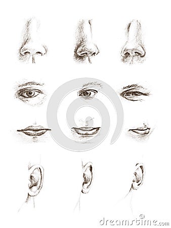 HAND DRAWN SKETCHES OF EYES, EARS, LIPS AND NOSES (click image to zoom)