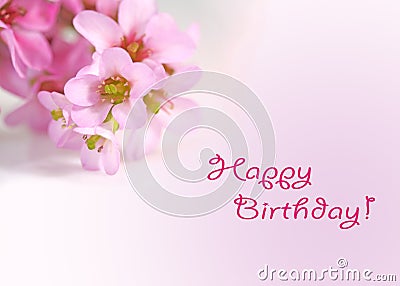 Free Vector Birthday Card on Happy Birthday Greetings Card With Flowers Royalty Free Stock Photo