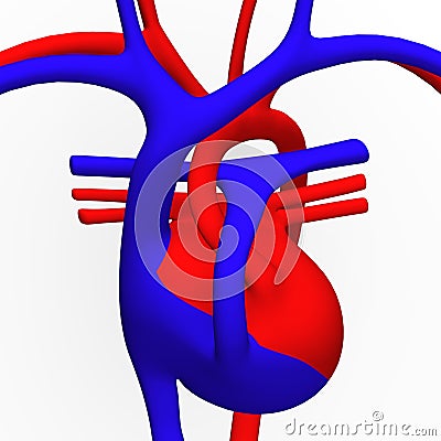 circulation of heart. 3d render of heart scheme