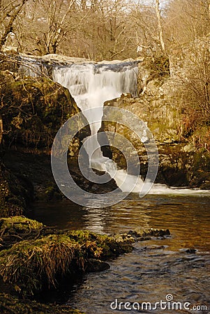 Stock Photo: High Force