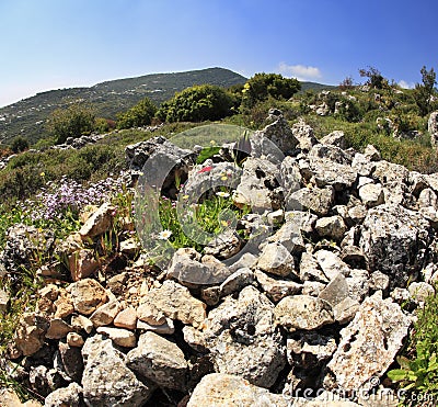 Hills Of Galilee
