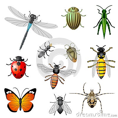 insects-and-bugs-thumb18407761.jpg