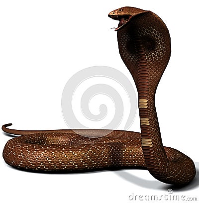 Royalty Free Illustration: King cobra snake. Image: 755