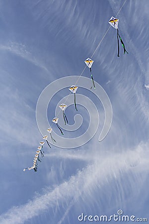   kites-in-the-sky-thumb16336376.jpg