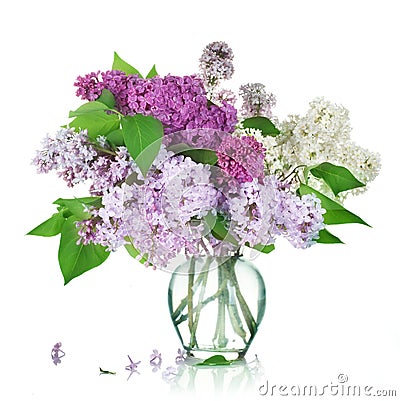 Flowers Bouquet on Stock Images  Lilac Flowers Bouquet  Image  14235234