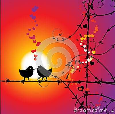 Love Bird on Love  Birds Kissing On Branch  Click Image To Zoom
